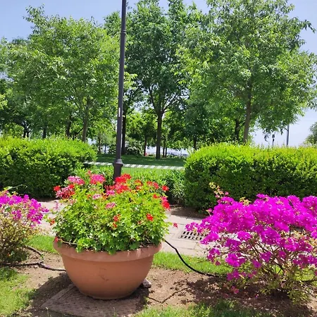 Seaside Casa Carla E Casa Andrea * אולביה