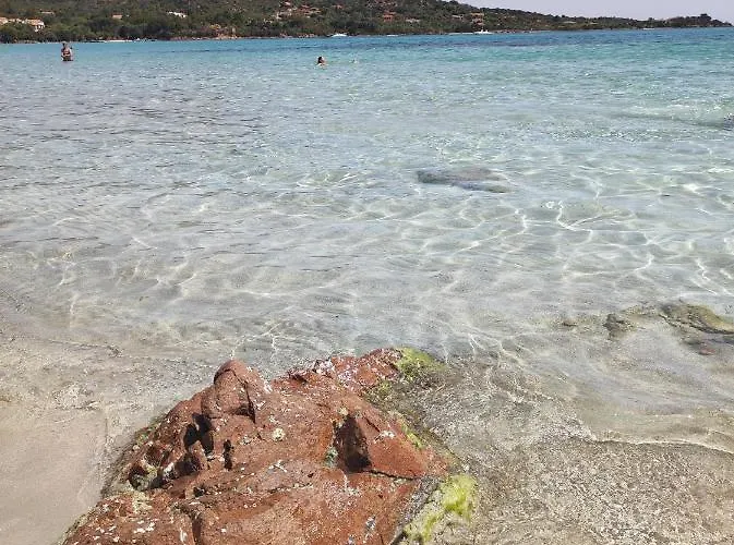 Appartamento Seaside Casa Carla E Casa Andrea Olbia
